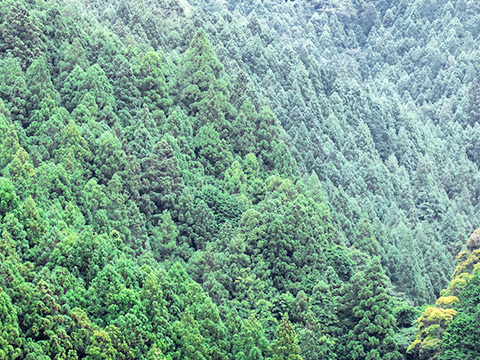 首都圏企業共創拠点での林業トークイベント実施